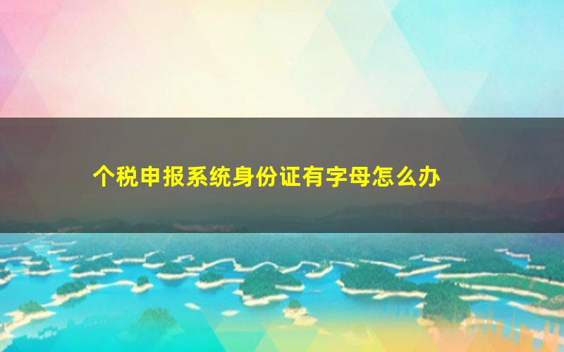 个税申报系统身份证有字母怎么办