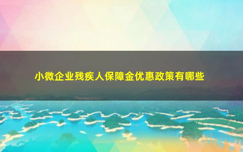 小微企业残疾人保障金优惠政策有哪些