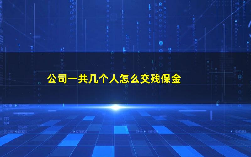 公司一共几个人怎么交残保金