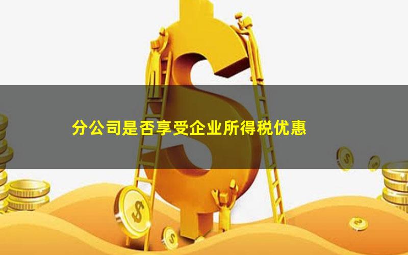 分公司是否享受企业所得税优惠