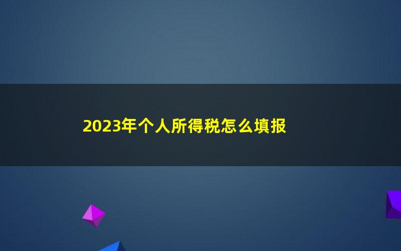 2023年个人所得税怎么填报