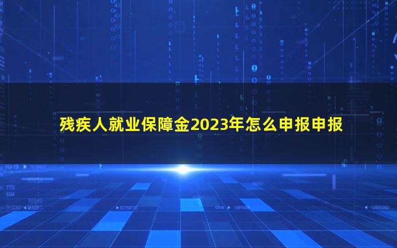 残疾人就业保障金2023年怎么申报申报