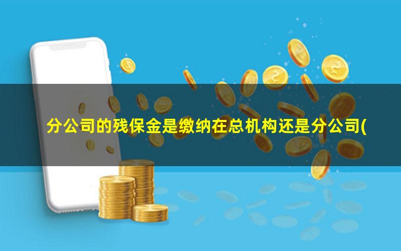 分公司的残保金是缴纳在总机构还是分公司(分公司残保金单独申报还是汇总申