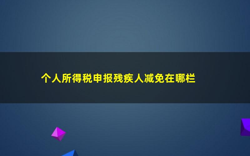 个人所得税申报残疾人减免在哪栏