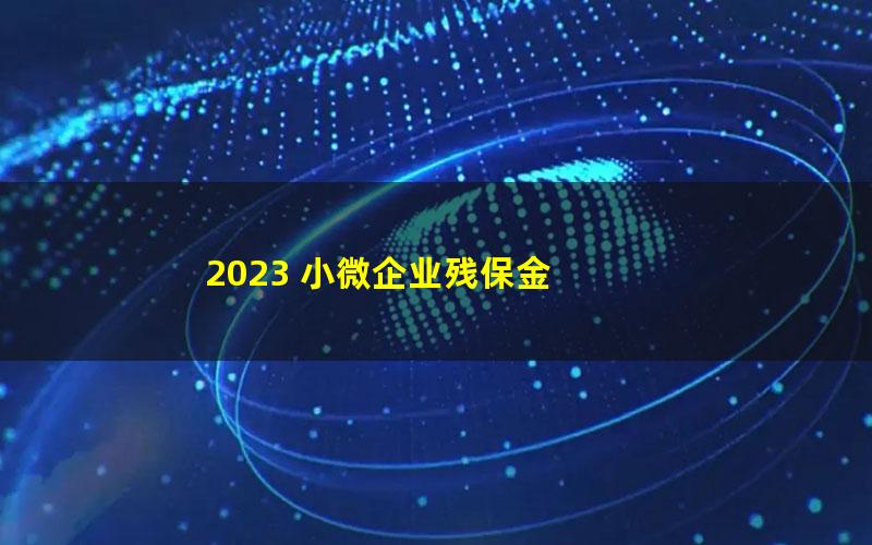 2023 小微企业残保金