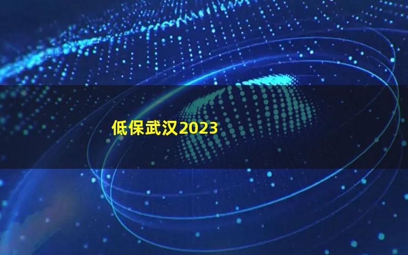 低保武汉2023