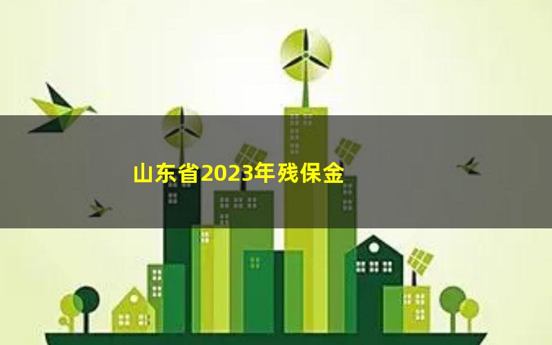 山东省2023年残保金