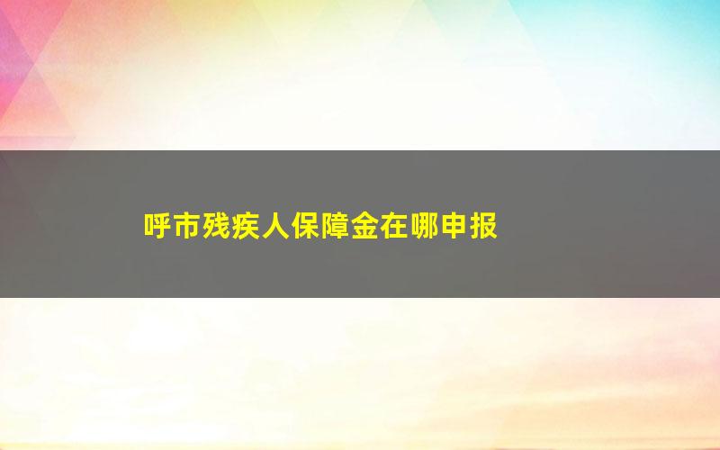 呼市残疾人保障金在哪申报