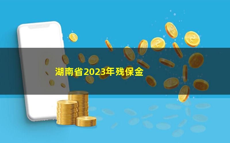 湖南省2023年残保金