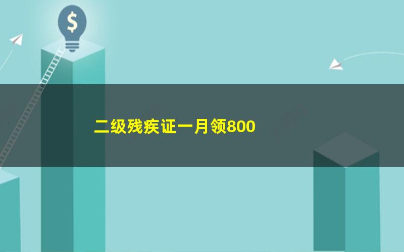 二级残疾证一月领800