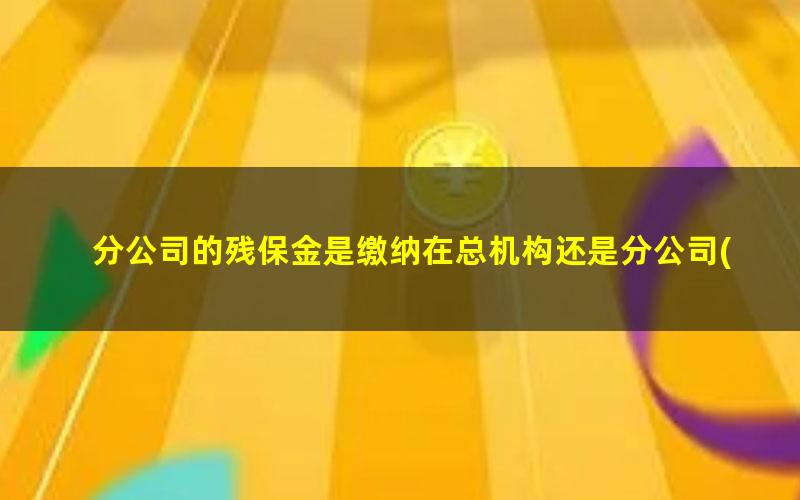 分公司的残保金是缴纳在总机构还是分公司(分公司残保金单独申报还是汇总申