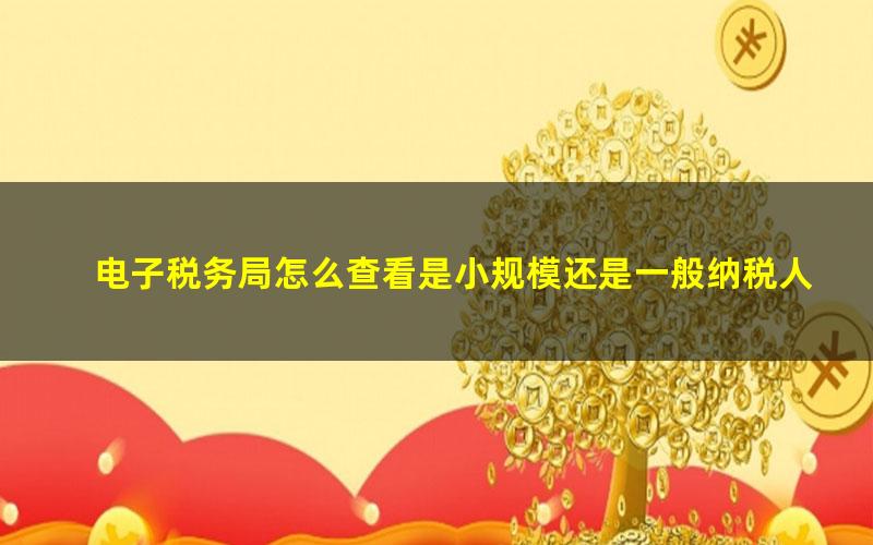 电子税务局怎么查看是小规模还是一般纳税人(电子税务局哪里查询企业是一般