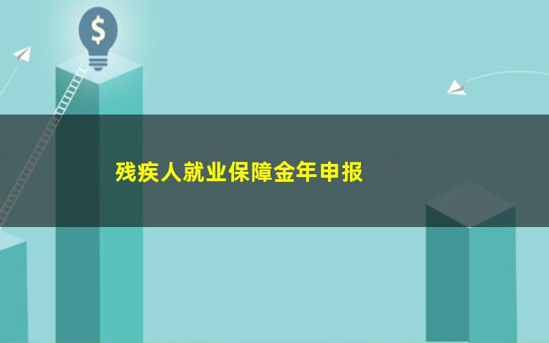 残疾人就业保障金年申报