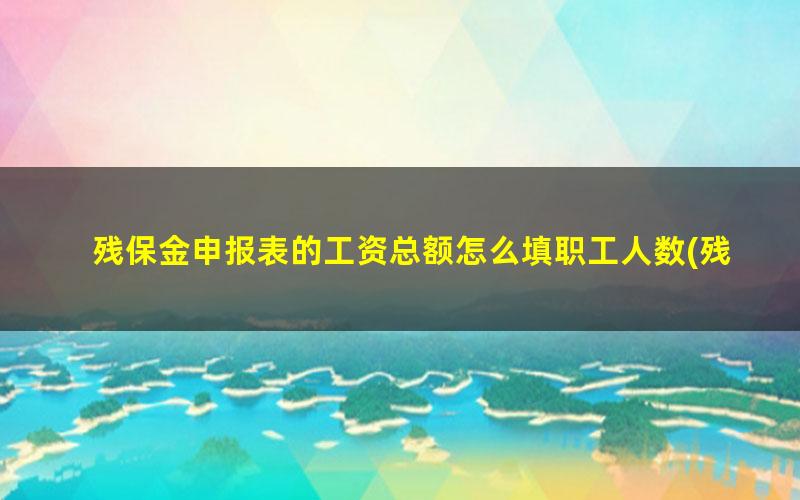 残保金申报表的工资总额怎么填职工人数(残保金的工资总额是应发工资还是实