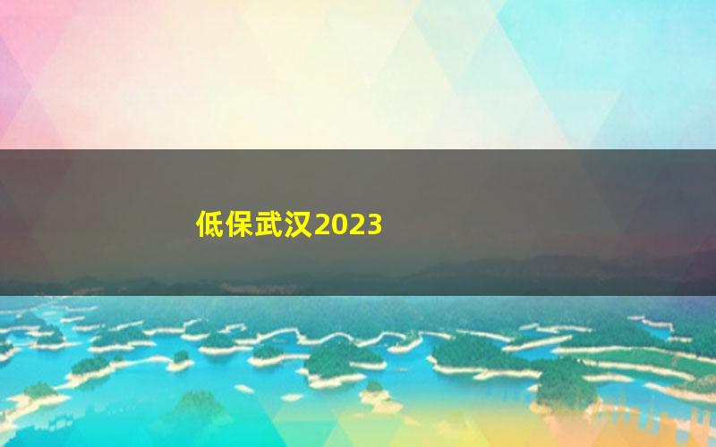 低保武汉2023