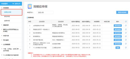 公司申报怎么操作流程 公司申报怎么申报