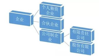 公司行业类型有哪些 公司的行业类型有哪些