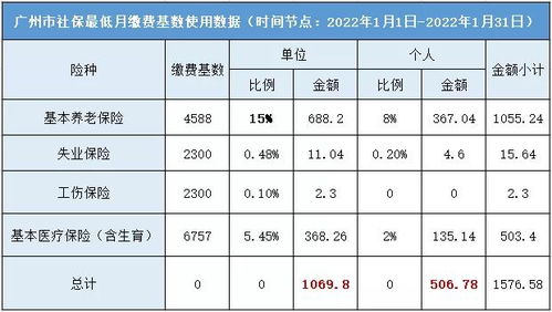 2023年社保个人缴费明细表 2023年社保缴费基数