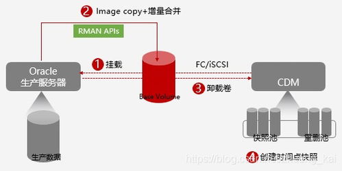 cdm项目是什么意思 项目cdp是什么意思