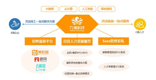 灵活用工新模式引发热潮 关于灵活用工解决方案