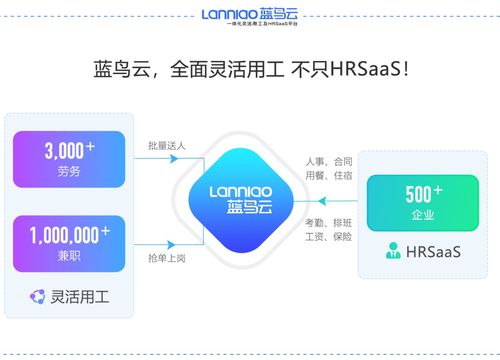 灵活用工云众包 灵活用工和外包的区别