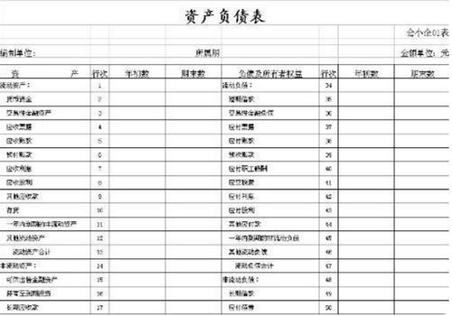 审计BS表和PL表分别是什么 