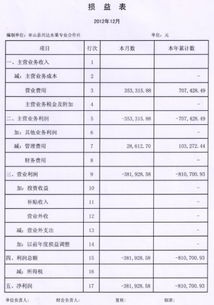 怎样企业所得税年度纳税申报表 A类 及附表 