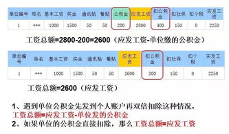 从业人员及工资总额 报表填报指南