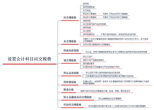 余姚学会计 增值税科目设置及报表填写