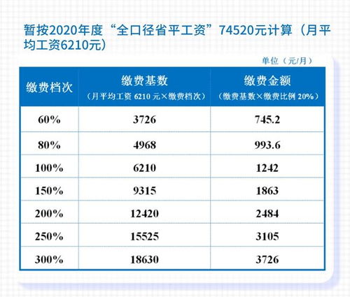 定了 成都最新社保缴费标准出炉