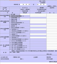 外商投资企业和外国企业所得税年度申报表 B类 表格模板 XLS格式 下载