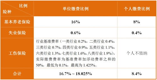 2023成都社保缴费标准 单位 个人