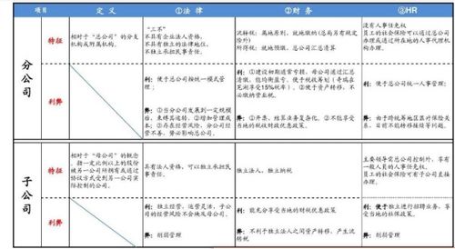 分公司全由总公司调入货物 同在一个区域,独立核算,求账务处理方法 