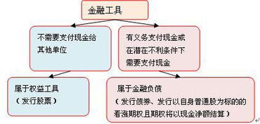 其他权益工具在报表内以什么形式出现 