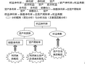 杜邦分析体系 