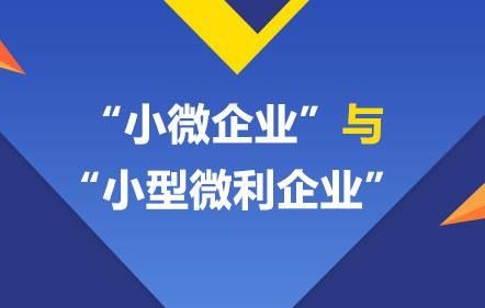 赋企猫 你的企业是小微企业还是小微利企业 决定你可以申请这些优惠政策