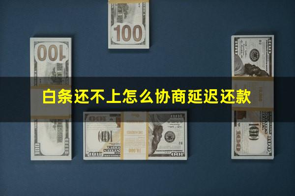 白条还不上怎么协商延迟还款?白条怎么延期还