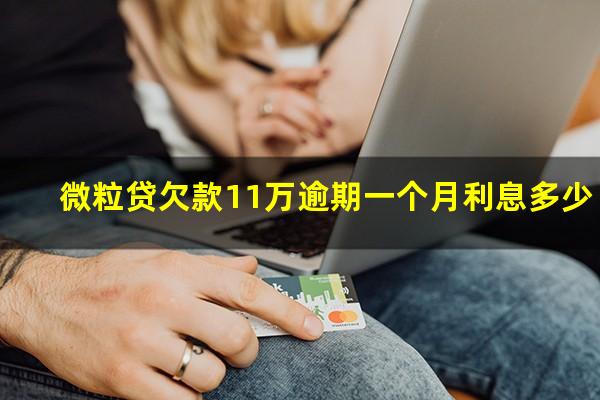 微粒贷欠款11万逾期一个月利息多少?微粒贷逾期10万利息一天70元