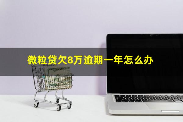 微粒贷欠8万逾期一年怎么办?微粒贷欠款8万逾期多久会被告法院