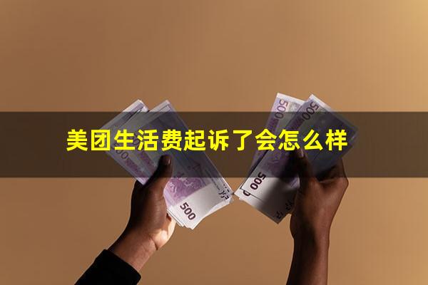 美团生活费起诉了会怎么样?美团生活费起诉说民事案件严重吗