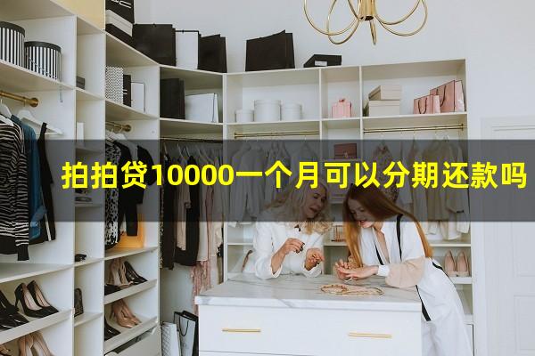 拍拍贷10000一个月可以分期还款吗