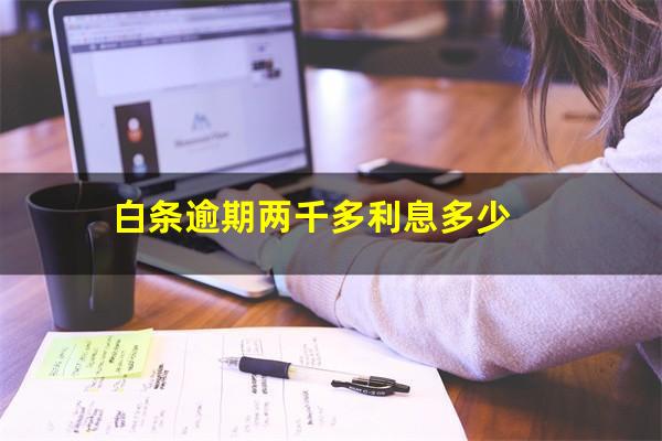 白条逾期两千多利息多少?白条两千逾期一年