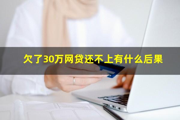 欠了30万网贷还不上有什么后果