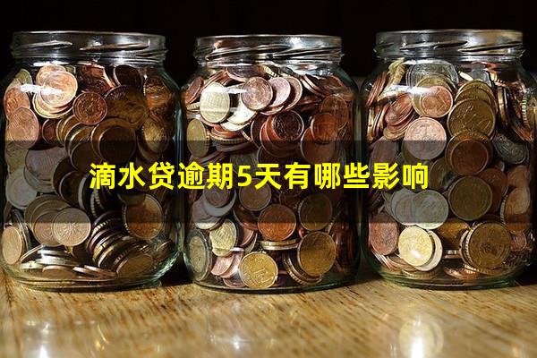 滴水贷逾期5天有哪些影响?滴水贷逾期5天会上征信吗