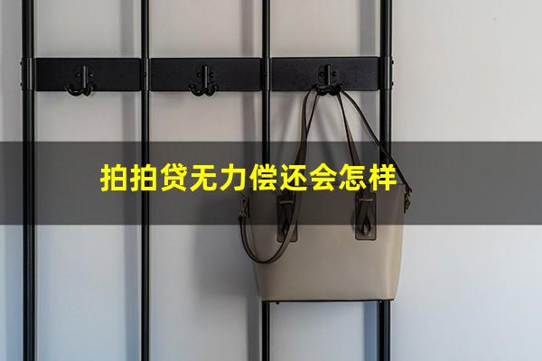 拍拍贷无力偿还会怎样