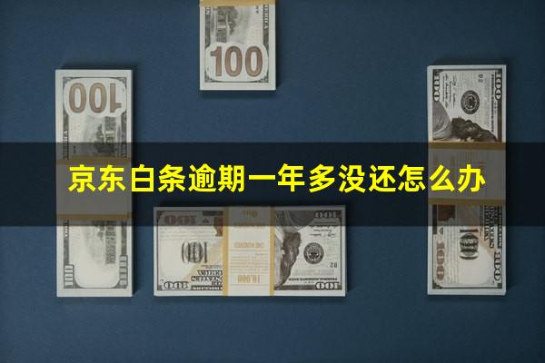 京东白条逾期一年多没还怎么办?京东白条逾期一年以上还款后还能用么?