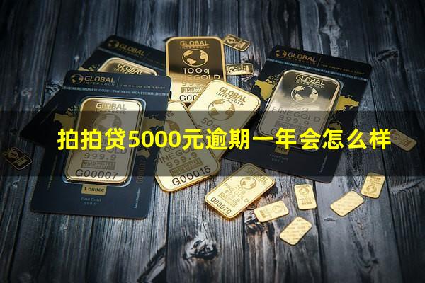 拍拍贷5000元逾期一年会怎么样