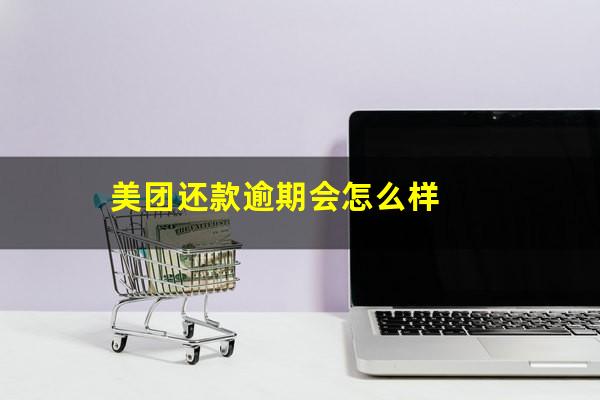 美团还款逾期会怎么样?美团逾期了还款以后还能马上再借出来吗?