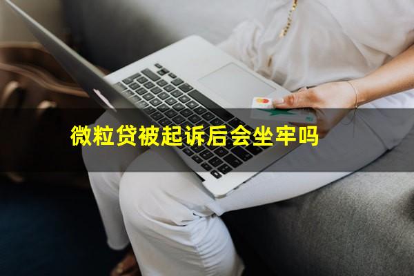 微粒贷被起诉后会坐牢吗