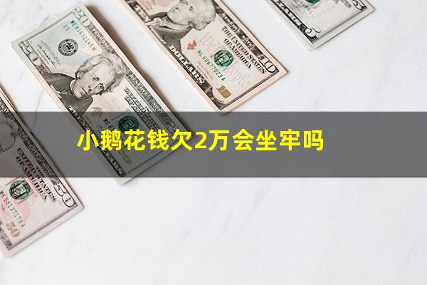 小鹅花钱欠2万会坐牢吗?小鹅花钱欠2万会立案吗